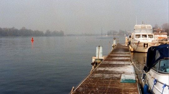 Silkkiuikku lähtöaamuna