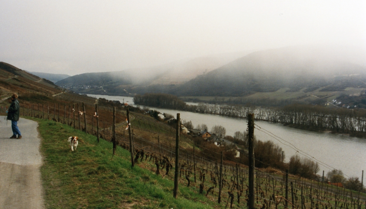 Schwartsvald matkalla Assmanshauseniin