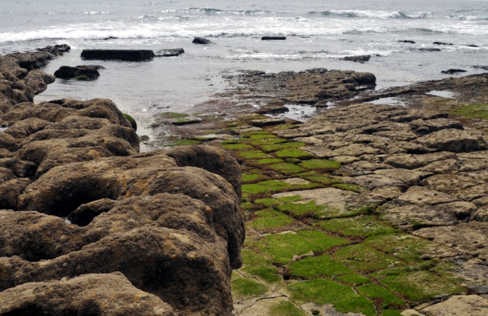 Green tiles in the sea