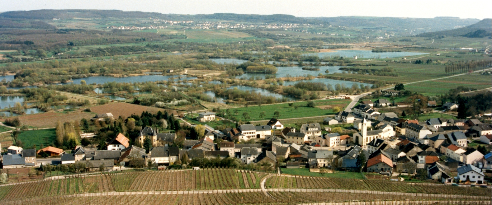 Luxenburgin viinirinteitä