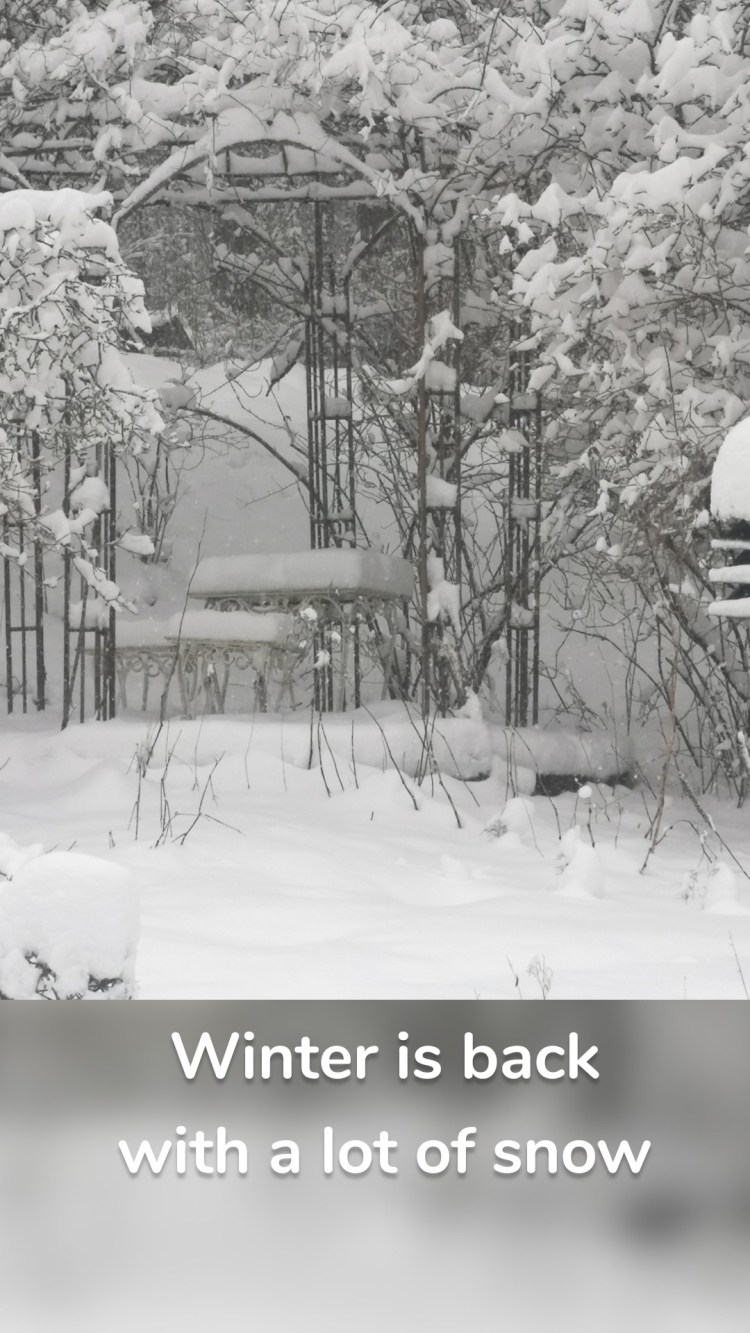Winter is back with a lot of snow